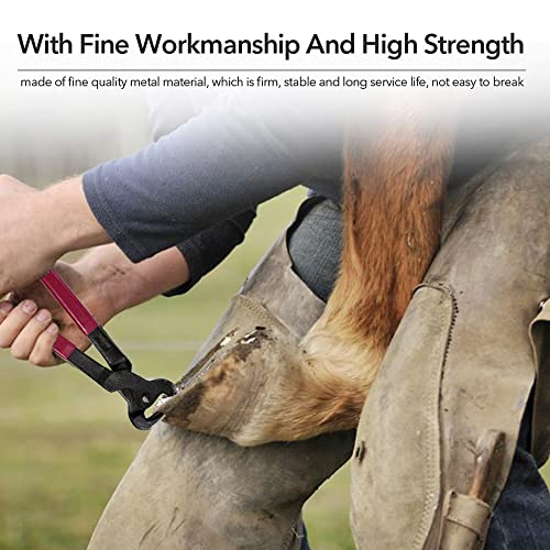 4pcs Horse Huf Nipper Set Professionelle es -Huffenster für Hufschneider -Schuhanmeldung und Schneiden von haltbarer Metallkonstruktion Multicolor 1683g 4pcs Horse Huf Nipper Set Professionelle es -Huffenster für Hufschneider -Schuhanmeldung und Schneiden von haltbarer Metallkonstruktion Multicolor 1683g von Segrehy