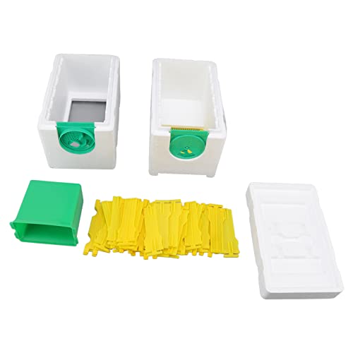 Bienenkönigin-Zuchtbox, doppelschichtiger Schaumstoffrahmen, Bienenstock, temperaturkontrollierbares Strukturdesign für die Bienenzucht, Imker, Schaumstoffmaterial, 29 x 24 x 15 cm Bienenkönigin-Zuchtbox, doppelschichtiger Schaumstoffrahmen, Bienenstock, temperaturkontrollierbares Strukturdesign für die Bienenzucht, Imker, Schaumstoffmaterial, 29 x 24 x 15 cm von Segrehy