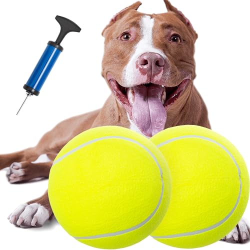 Segzwlor Hundespielzeugball – 24,1 cm großer Tennisball für kleine, mittelgroße und große Hunde – aufblasbares Gummi ungiftiges Haustierspielzeug mit Pumpe & Nadel – lustige Sportinteraktive von Segzwlor