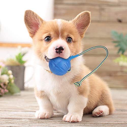 Sommergeschenk Semiter Tragbares Hundeballspielzeug, widerstandsfähiges HaustierHundeballspielzeug, Eva Interactive Chew Pet für Hund von Semiter