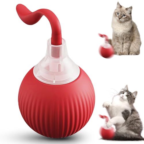 Senchinner katzenspielzeug,katzenspielzeug elektrisch,1 Stück Intelligentes USB Wiederaufladbarer Katzenspielzeug Ball,für kleine mittlere große Katze Hunde Selbstbeschäftigung Rot von Senchinner