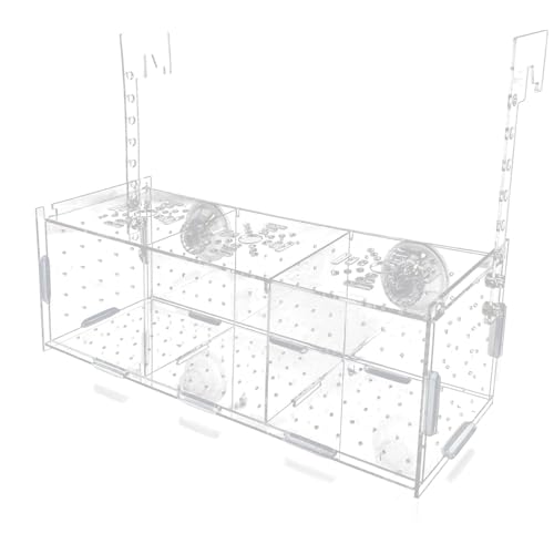 Laichkasten Für Aquarium Acryl, Isolationsbox Aquarium, Fischzucht Kasten, Aquarienfisch-Zuchtbox Transparente Fische Sämlinge Inkubator Brutkasten Für Fische, Clownfische, Guppys von Senermter