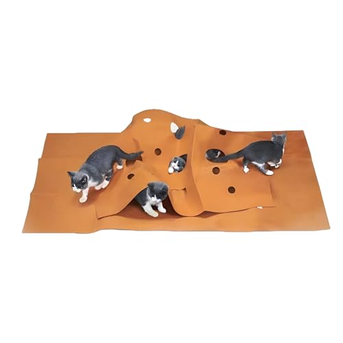 Senermter Katzen Tunnel Spielzeug - Agility Trainingsmatte - Bereicherung Spielzeug Interaktiv Für Kätzchen Zum Klettern Jagen Tägliche Bewegung Draußen Senermter Katzen Tunnel Spielzeug - Agility Trainingsmatte - Bereicherung Spielzeug Interaktiv Für Kätzchen Zum Klettern Jagen Tägliche Bewegung Draußen von Senermter
