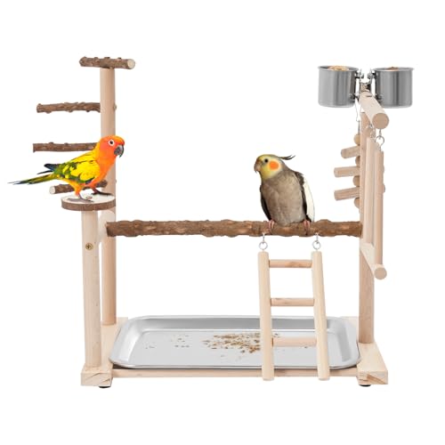 Vogelkäfig Wellensittich Spielzeug Vogelkäfig Zubehör Wellensittich Käfig Zubehör Papageien Spielplatz Naturholz Vogel Ständer, Edelstahl Futtertasse Schaukel Leiter, 36 x 23 x 39 cm von Sengfwin