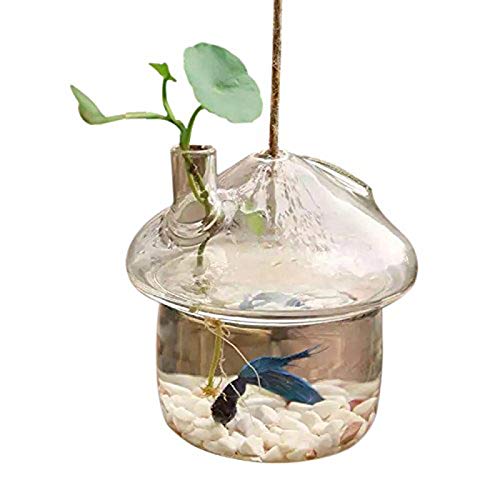 Senmubery Pilzförmiger hängender Glas-Pflanzgefäß, Vase, Rumble Fish Tank, Terrarium, Behälter, Zuhause, Garten, Dekoration von Senmubery