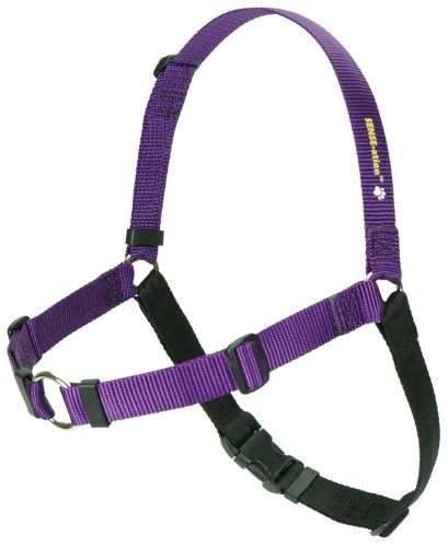 Sense-ation No-Pull Dog Harness (Purple, Large Wide) by Sense-Ation Harness von Sense-Ation Harness