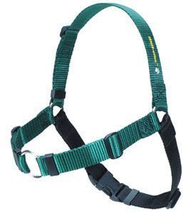 Softouch Sense ation Hundegeschirr, kein Ziehen, Größe L, Grün von Sense-Ation Harness