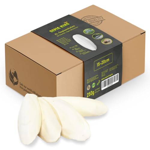 Sepia King Sepiaschalen – XL Box 250g 15-20cm | Natürliche Kalzium und Mineralstoff-Quelle | Sepia Schalen - Futter für Reptilien, Schildkröten, Bartagame, Vögel, Terrarium Zubehör von Sepia King