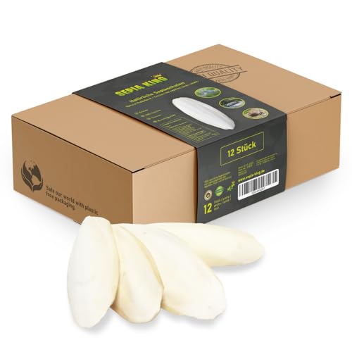 Sepia King ECO Box Sepiaschalen für Schildkröten, Vögel, Reptilien, Bartagame | Premium Sepia Schalen Futter, natürliche Kalzium Quelle, 10-15cm, Terrarium Zubehör Sepia King ECO Box Sepiaschalen für Schildkröten, Vögel, Reptilien, Bartagame | Premium Sepia Schalen Futter, natürliche Kalzium Quelle, 10-15cm, Terrarium Zubehör von Sepia King