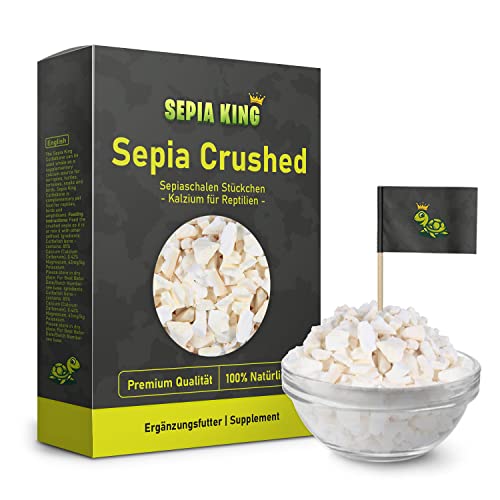 Sepia King - Sepiaschalen Bruch in Premium Qualität - Kalzium für Schildkröten, Bartagame, Geckos, Reptilien - Futterkalk, Kalk Terrarium Zubehör - Keine Reste oder Abfall Sepia King - Sepiaschalen Bruch in Premium Qualität - Kalzium für Schildkröten, Bartagame, Geckos, Reptilien - Futterkalk, Kalk Terrarium Zubehör - Keine Reste oder Abfall von Sepia King