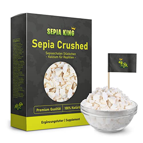 Sepia King - Sepiaschalen Bruch in Premium Qualität - Kalzium für Schildkröten, Bartagame, Geckos, Reptilien - Futterkalk, Kalk Terrarium Zubehör - Keine Reste oder Abfall von Sepia King