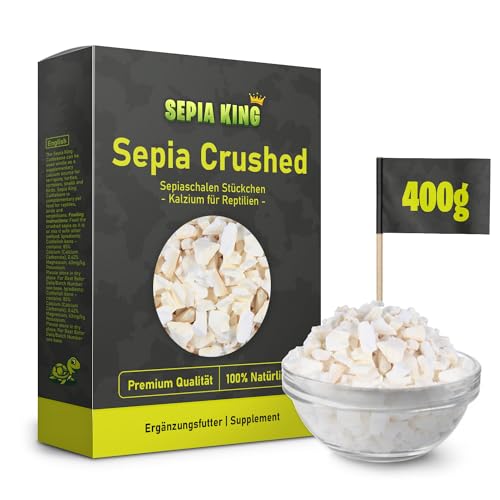 Sepia King - Sepiaschalen Bruch in Premium Qualität - Kalzium für Schildkröten, Bartagame, Geckos, Reptilien - Futterkalk, Kalk Terrarium Zubehör - Keine Reste oder Abfall Sepia King - Sepiaschalen Bruch in Premium Qualität - Kalzium für Schildkröten, Bartagame, Geckos, Reptilien - Futterkalk, Kalk Terrarium Zubehör - Keine Reste oder Abfall von Sepia King