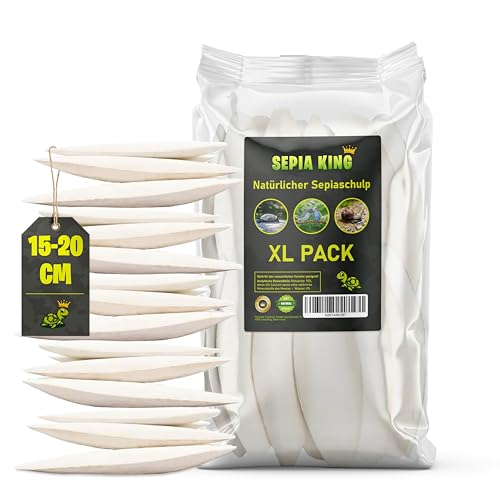 Sepia King Sepiaschalen Premium XL Vorteilspackung 250g Sepia Schalen - Optimale Kalzium und Vitaminversorgung - Nahrung, Futter für Reptilien, Schildkröten, Bartagamen, Vögel - Terrarium Zubehör von Sepia King