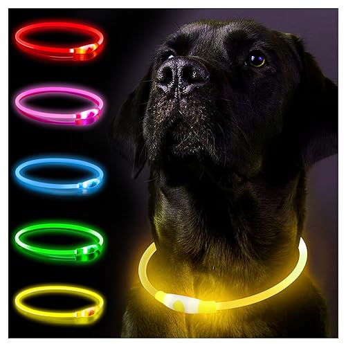 Hundehalsbandanhänger (Gelb) von SerDa-Run