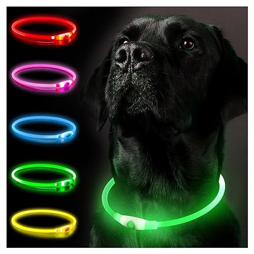 SerDa-Run Leuchthalsband Hund, Hundehalsband Leuchtend Aufladbar, LED Halsband für Hunde Leuchtband Hund Einstellbare Größe Hunde Leuchthalsband,Lichtmodi Sicherheit für Ihren Hund in der Nacht(Grün) von SerDa-Run