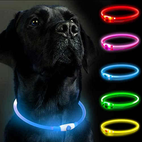 Dog Collar, Dog Collar Lights for The Dark, Flashing Dog Collar Rechargeable (blau2) von SerDa-Run