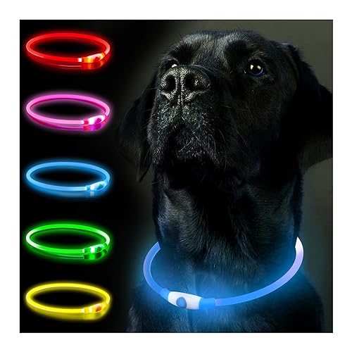 SerDa-Run Leuchthalsband Hund, Hundehalsband Leuchtend Aufladbar, LED Halsband für Hunde Leuchtband Hund Einstellbare Größe Hunde Leuchthalsband,Lichtmodi Sicherheit für Ihren Hund in der Nacht(Blau) von SerDa-Run