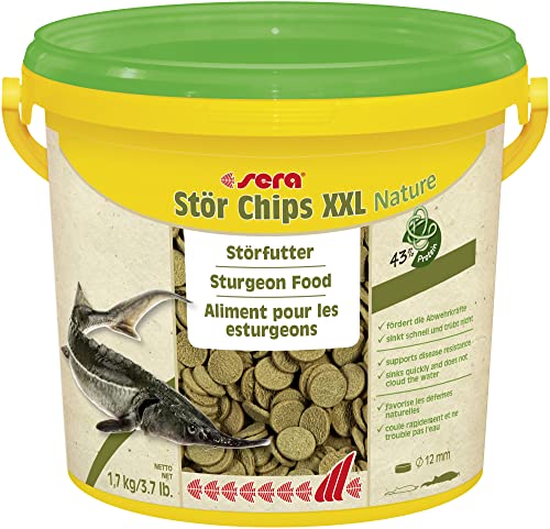 sera Stör Chips Nature XXL 3,8 Ltr. (1,7 kg) - Das natürliche Hauptfutter für größere Störe von sera