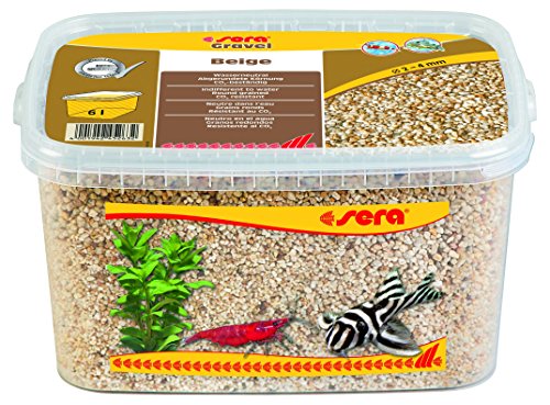 sera Gravel Beige 2-4 mm 6.000 ml - Beigefarbener Naturkies (Ø 2 - 4 mm) für alle Süß- und Meerwasseraquarien von sera