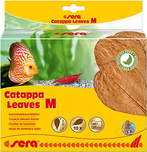 sera Catappa Leaves - Seemandelbaumblätter für die natürliche Wasseraufbereitung, M (10er Pack) von sera