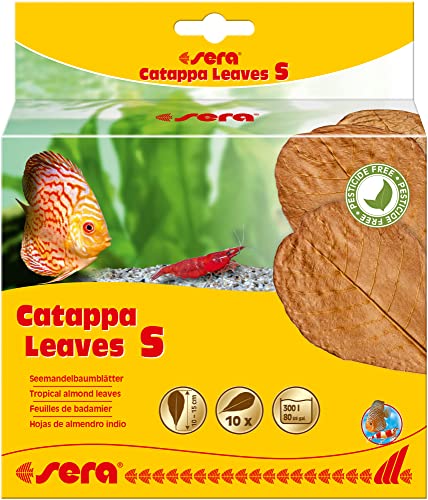 sera Catappa Leaves S 10-15 cm (10St) - Seemandelbaumblätter für die natürliche Wasseraufbereitung sera Catappa Leaves S 10-15 cm (10St) - Seemandelbaumblätter für die natürliche Wasseraufbereitung von sera