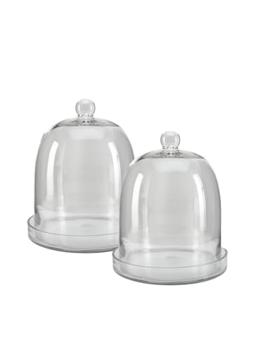 Serene Spaces Living Glasglocke, ideal als Terrarium, ideal für Luftpflanzen, Blumenblüten, Zubehör, Fotos, Kerzen, Dessert-Display, Zuhause, Büro, 27,9 cm Durchmesser und 33 cm Höhe, 2 Stück von Serene Spaces Living