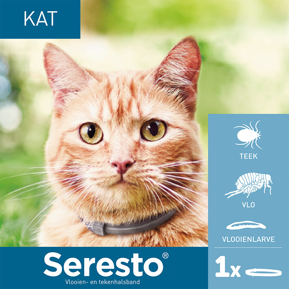 2 x Seresto Katze von Seresto