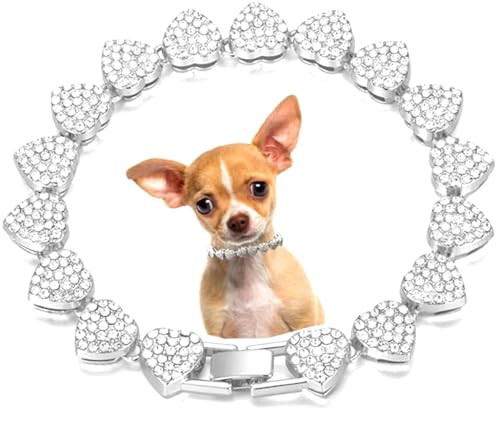 Serijoars Hundehalsband, Herz-Halskette, Diamant, kubanische Gliederung, Hundehalsband, Katzenketten, Metall, Katzenketten, Haustier-Kristall-Halsbänder, Schmuckzubehör für Hunde und Katzen, Silber Serijoars Hundehalsband, Herz-Halskette, Diamant, kubanische Gliederung, Hundehalsband, Katzenketten, Metall, Katzenketten, Haustier-Kristall-Halsbänder, Schmuckzubehör für Hunde und Katzen, Silber von Serijoars