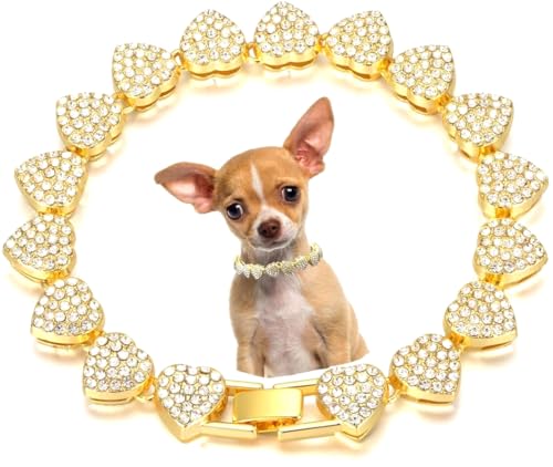 Serijoars Hundehalsband, Herz-Halskette, Diamant, kubanische Gliederung, Hundehalsband, Katzenketten, Metall, Katzenketten, Haustier-Kristall-Halsbänder, Schmuckzubehör für Hunde und Katzen (Gold, 61 Serijoars Hundehalsband, Herz-Halskette, Diamant, kubanische Gliederung, Hundehalsband, Katzenketten, Metall, Katzenketten, Haustier-Kristall-Halsbänder, Schmuckzubehör für Hunde und Katzen (Gold, 61 von Serijoars