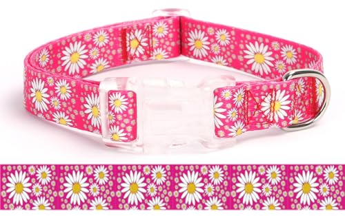 Serijoars Hundehalsband für Mädchen, mit Gänseblümchen-Muster, niedliches Hundehalsband für Hündinnen, verstellbar, weich, langlebig, Haustierhalsbänder für XS, kleine, mittelgroße und große Hunde Serijoars Hundehalsband für Mädchen, mit Gänseblümchen-Muster, niedliches Hundehalsband für Hündinnen, verstellbar, weich, langlebig, Haustierhalsbänder für XS, kleine, mittelgroße und große Hunde von Serijoars