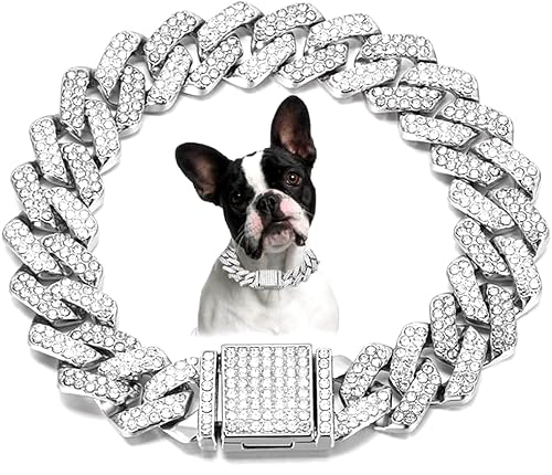 Serijoars Hundekette, Diamant-Halsband, glitzernde Diamanten, kubanische Gliederkette, Welpenhalsband, Glitzerkette, Strass-Hundehalskette für kleine, mittelgroße und große Haustiere (Silber, 20,3 cm) Serijoars Hundekette, Diamant-Halsband, glitzernde Diamanten, kubanische Gliederkette, Welpenhalsband, Glitzerkette, Strass-Hundehalskette für kleine, mittelgroße und große Haustiere (Silber, 20,3 cm) von Serijoars