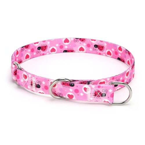 Serijoars Martingale Hundehalsband, kein Ziehen, Trainingshalsband mit Blumen, mehrfarbig, niedliche Muster und verschiebbarer Stop-Ring (Nr. 10, M) von Serijoars