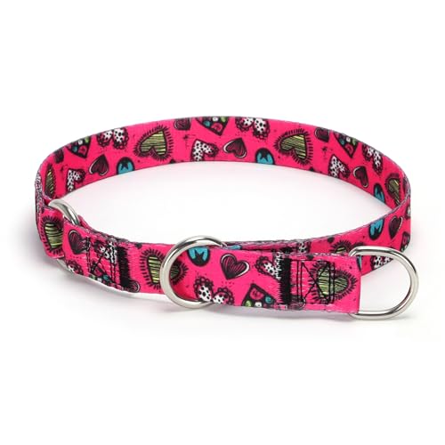 Serijoars Martingale Hundehalsband, kein Ziehen, Trainingshalsband mit Blumen, mehrfarbig, niedliche Muster und verschiebbarer Stop-Ring (Nr. 4, S) von Serijoars