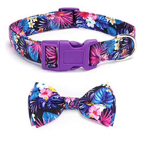 Serijoars Pet Soft &Comfy Bowtie Hundehalsband und Katzenhalsband, Haustiergeschenk für Mädchen und Jungen, männlich, weiblich, kleine, mittel, große Hunde, verstellbare Sicherheitsschnalle (L, Lila) von Serijoars