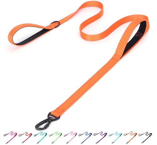 Serijoars Reflektierende Nylon-Hundeleine, strapazierfähig, gepolstert, 2 Griffe, reflektierende Leine für Nacht-Sicherheitstraining für kleine, mittelgroße und große Rassen, Orange, 1,8 m x 2,5 cm von Serijoars