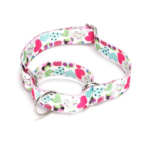 Serijoars Verstellbares Martingale-Hundehalsband, strapazierfähiges Nylon, für mittelgroße und große Hunde, Spazierengehen, Training, Jungen und Mädchen (Nr. 11, M) von Serijoars