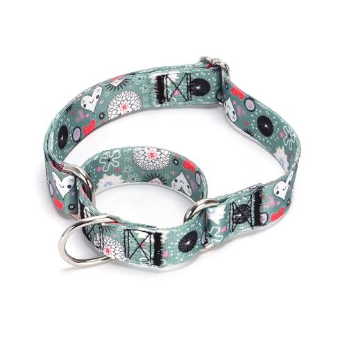 Serijoars Verstellbares Martingale-Hundehalsband, strapazierfähiges Nylon, für mittelgroße und große Hunde, Spazierengehen, Training, Jungen und Mädchen (Nr. 14, M) von Serijoars