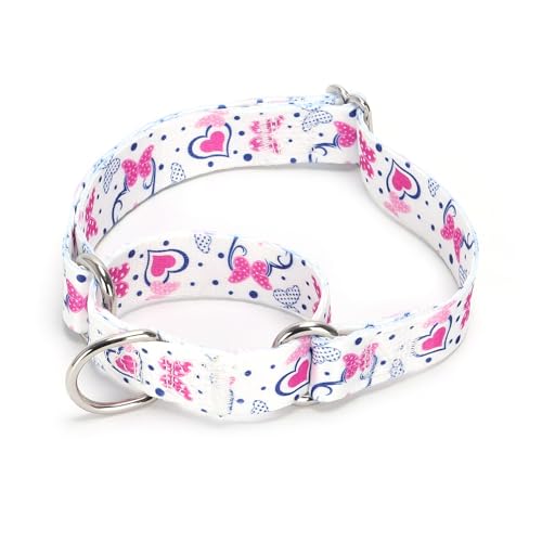 Serijoars Verstellbares Martingale-Hundehalsband, strapazierfähiges Nylon, für mittelgroße und große Hunde, Spazierengehen, Training, Jungen und Mädchen (Nr. 19, M) von Serijoars