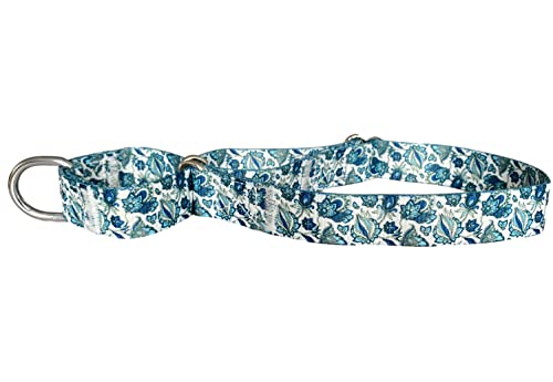 Serijoars Verstellbares Martingale Hundehalsband Strapazierfähiges Nylon Hundehalsband für mittelgroße große Hunde Gehtraining Junge und Mädchen Hunde (M, Blau) von Serijoars