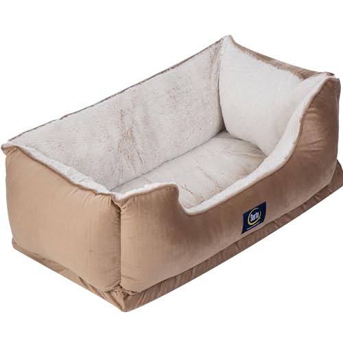 Serta Orthopädisches Cuddler Hundebett für Haustiere, Wüstensand (XL) von Serta