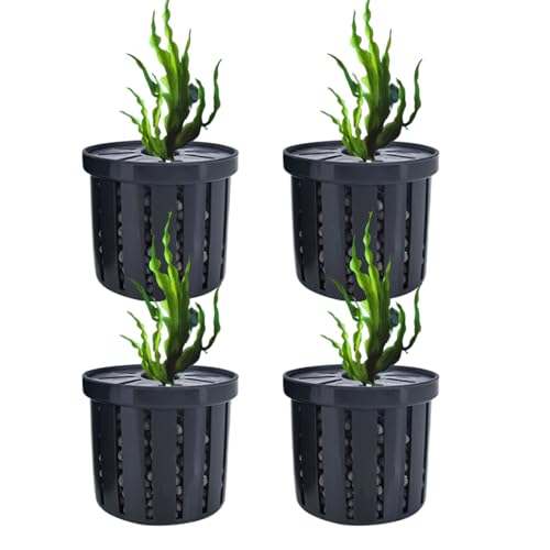 Setauoo Aquarien Pflanzenbehälter,Netzkorb für Aquarienpflanzen - Dekorativer Wasserpflanzen Halter, Wasserdékor Für Aquarien In Wohnung, Büro Und Restaurant Setauoo Aquarien Pflanzenbehälter,Netzkorb für Aquarienpflanzen - Dekorativer Wasserpflanzen Halter, Wasserdékor Für Aquarien In Wohnung, Büro Und Restaurant von Setauoo