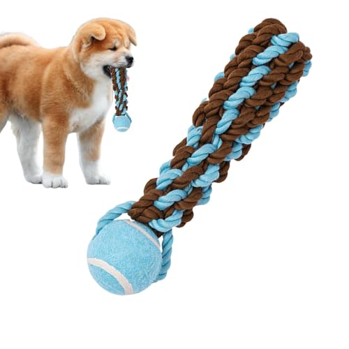 Setauoo Hundespielzeug mit Seil und Ball, für Haustier-Training, Beißball in leuchtenden Farben, für Park, Hinterhof, Garten und Zuhause Setauoo Hundespielzeug mit Seil und Ball, für Haustier-Training, Beißball in leuchtenden Farben, für Park, Hinterhof, Garten und Zuhause von Setauoo