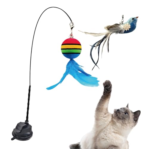 Setauoo Interaktives Spielzeug Für Katzen - Interaktive Katzenangel Mit Vogelform | Handgeführte Spielangel Mit Saugnapf & Wandhalterung Gegen Langeweile Für Bewegung Und Geistige Anregung Setauoo Interaktives Spielzeug Für Katzen - Interaktive Katzenangel Mit Vogelform | Handgeführte Spielangel Mit Saugnapf & Wandhalterung Gegen Langeweile Für Bewegung Und Geistige Anregung von Setauoo