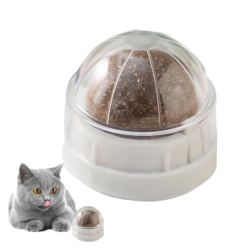 Setauoo Katzenminze Ball Spielzeug - Drehbares essbares Kätzchenspielzeug für Katzen Lecken | Katzenwand Leckerli Bio Katzenminze Gesunde Zahnreinigung Kauspielzeug Katze Beißspielzeug Katzenminze Setauoo Katzenminze Ball Spielzeug - Drehbares essbares Kätzchenspielzeug für Katzen Lecken | Katzenwand Leckerli Bio Katzenminze Gesunde Zahnreinigung Kauspielzeug Katze Beißspielzeug Katzenminze von Setauoo