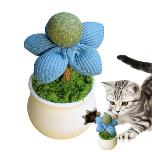 Setauoo Katzenminze-Leckbälle für Katzen, Blumentopf-inspiriertes Katzenanreicherungsspielzeug für Katzen – Leckzubehör für Indoor-Kätzchen, Lecken sicher, gesund, interaktiv für alle Rassen Setauoo Katzenminze-Leckbälle für Katzen, Blumentopf-inspiriertes Katzenanreicherungsspielzeug für Katzen – Leckzubehör für Indoor-Kätzchen, Lecken sicher, gesund, interaktiv für alle Rassen von Setauoo