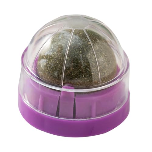 Setauoo Katzenminze-Wandball-Spielzeug | Drehbares, essbares Kätzchen-Spielzeug für Katzen, Lecken, gesunde Zahnreinigung, Kauspielzeug, Bio-Ball, essbares Kätzchenspielzeug, Katzenwand-Leckerli, Setauoo Katzenminze-Wandball-Spielzeug | Drehbares, essbares Kätzchen-Spielzeug für Katzen, Lecken, gesunde Zahnreinigung, Kauspielzeug, Bio-Ball, essbares Kätzchenspielzeug, Katzenwand-Leckerli, von Setauoo