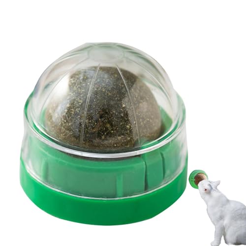 Setauoo Katzenminze Wandspielzeug | Drehbarer Katzenminze-Rollerball Wandspielzeug für Katzen Lecken | Wand Katzenminze Roller, Gesunde Zahnreinigung Kauspielzeug, Bio Katzenminze, Setauoo Katzenminze Wandspielzeug | Drehbarer Katzenminze-Rollerball Wandspielzeug für Katzen Lecken | Wand Katzenminze Roller, Gesunde Zahnreinigung Kauspielzeug, Bio Katzenminze, von Setauoo