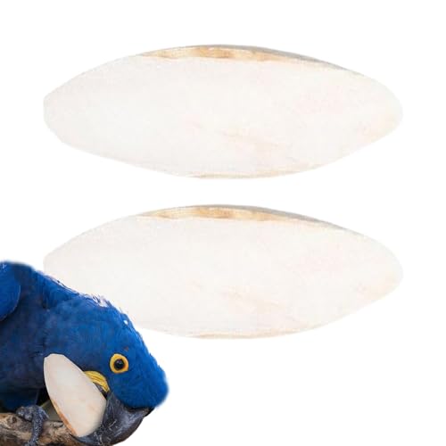 Setauoo Sepiaschale Für Schildkröten - Stücke Vogelknochen - Schnabelwetzstein 15-20 cm für Papageien Nymphensittiche Kanarienvögel Agaporniden Bartagamen Käfig Haustierbedarf Setauoo Sepiaschale Für Schildkröten - Stücke Vogelknochen - Schnabelwetzstein 15-20 cm für Papageien Nymphensittiche Kanarienvögel Agaporniden Bartagamen Käfig Haustierbedarf von Setauoo