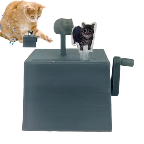 Setauoo Sound-Spielzeug für Katzen, Kätzchen, Handkurbel, Spieluhr – interaktives rotierendes Musikspielzeug, Haustierzubehör für große, mittelgroße und kleine Kätzchen Setauoo Sound-Spielzeug für Katzen, Kätzchen, Handkurbel, Spieluhr – interaktives rotierendes Musikspielzeug, Haustierzubehör für große, mittelgroße und kleine Kätzchen von Setauoo