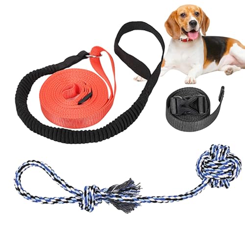 Setauoo Tether Tug Outdoor Hundespielzeug, Baumzerrer, Hundespielzeug, Seilspielzeug, interaktives Hundespielzeug, Hundespielzeug zum Ziehen, Schütteln, Zerren, Aktivitäten Setauoo Tether Tug Outdoor Hundespielzeug, Baumzerrer, Hundespielzeug, Seilspielzeug, interaktives Hundespielzeug, Hundespielzeug zum Ziehen, Schütteln, Zerren, Aktivitäten von Setauoo